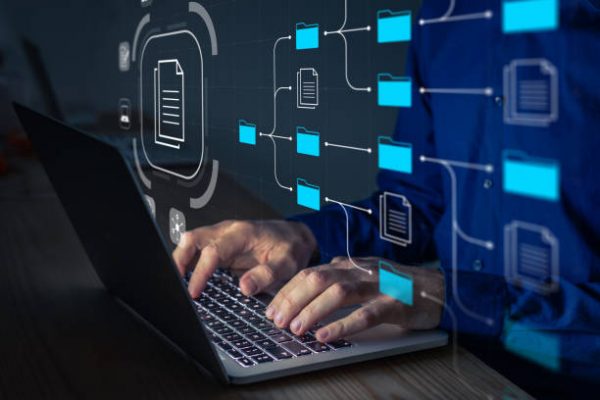 Domain Data - Enterprise Data API