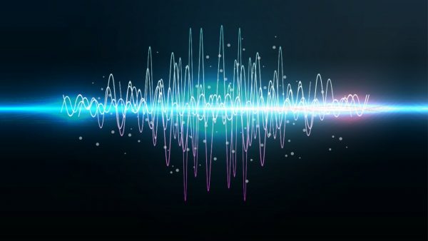 Voice Verification system in Action