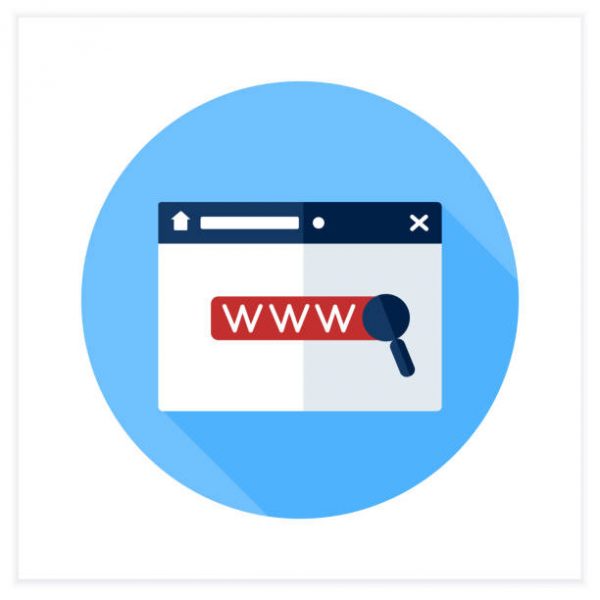 Domain Data API