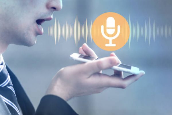Voice Verification API in action