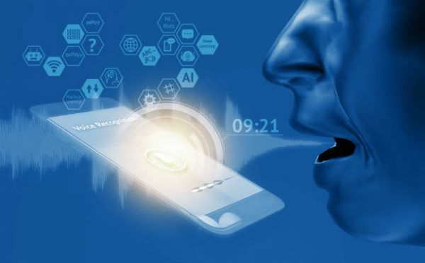 Voice Verification API in Action
