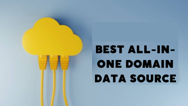 Domain Expiration API